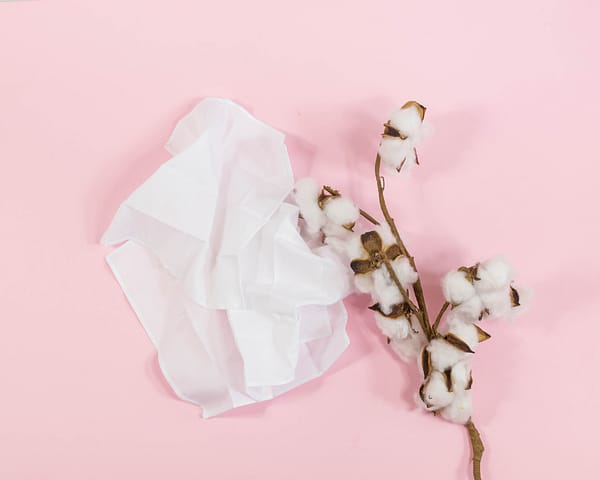 pañuelos algodon organicos