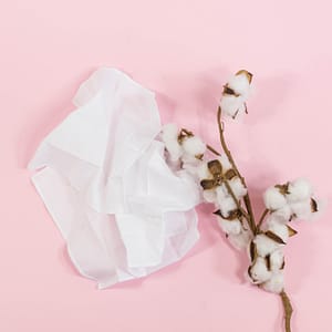 pañuelos algodon organicos